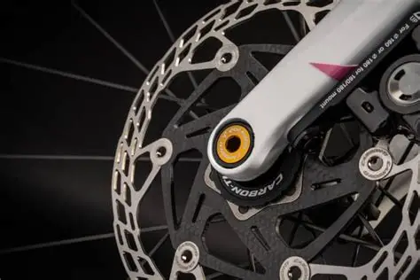 Colnago V4RS word champion limited edition